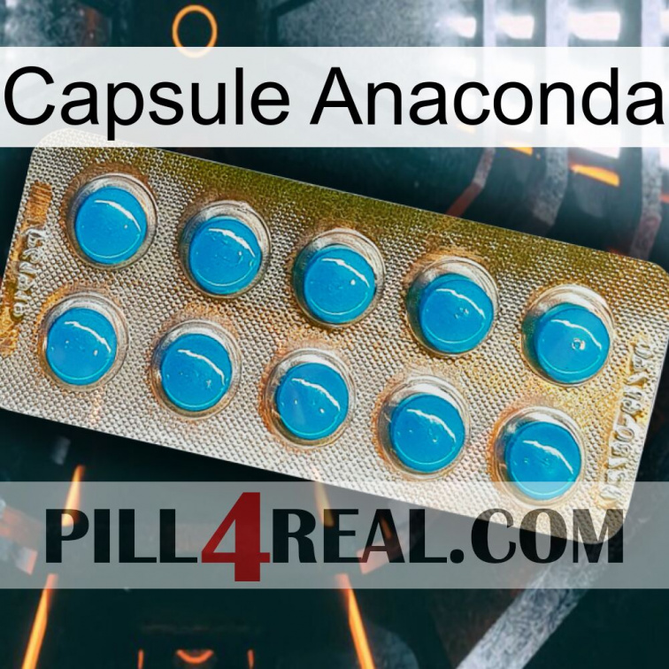 Anaconda Capsule new09